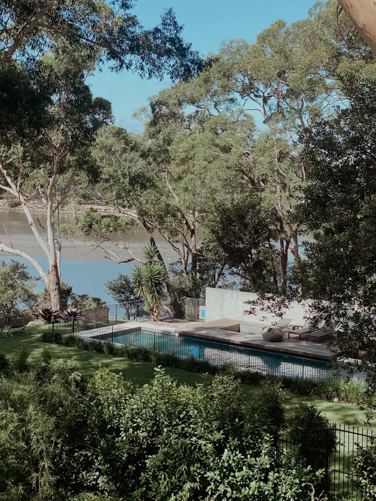 Backyard pool beneath gum trees at an Australian waterfront home